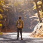 A person with a backpack stands alone on a sunlit forest road in autumn, looking ahead into a path surrounded by golden leaves and tall trees.