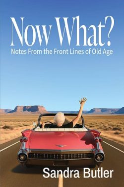 Woman waving from a red convertible in a desert landscape under a blue sky.