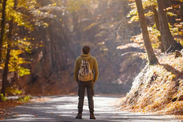 A person with a backpack stands alone on a sunlit forest road in autumn, looking ahead into a path surrounded by golden leaves and tall trees.